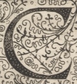 Decorative letter C illustration in vintage manuscript style.