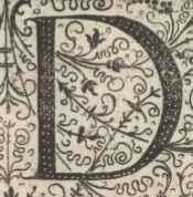 Decorative letter D illustration in vintage manuscript style.