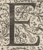 Decorative letter E illustration in vintage manuscript style. 