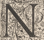 decorative letter N illustration in vintage manuscript style.
