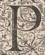 Decorative letter P illustration in vintage manuscript style.