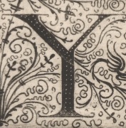 Decorative letter Y illustration in vintage manuscript style.
