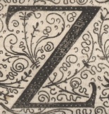 Decorative letter Z illustration in vintage manuscript style.